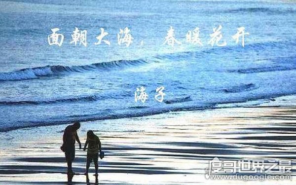 20岁成名的青年诗人，海子最经典的十首短诗（必读佳作）