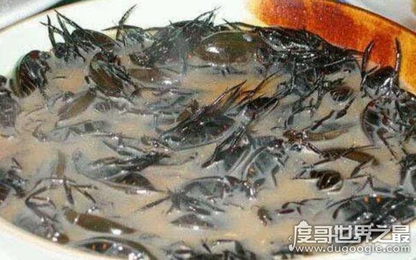 世界上最恶心的美食，日本人酷爱蟑螂汤（恶心变态）