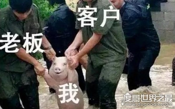 世界上笑死人图片，笑死人不偿命（笑到肚子疼）