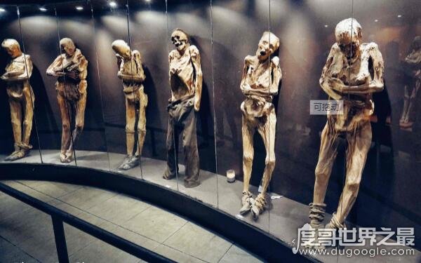 世界上最恐怖的博物馆，存放干尸骸骨畸形儿尸体（对医学大有帮助）