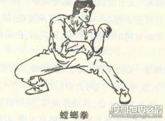 中国武术最凶狠的拳种排名，八极拳最凶狠(太极拳没上榜)