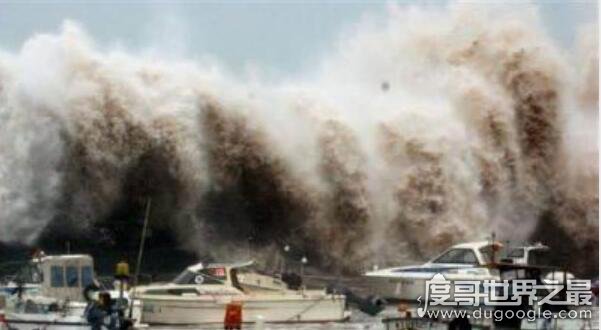 中国最强台风排名，泰培持续时间长达8天(造成2.5万人受灾)