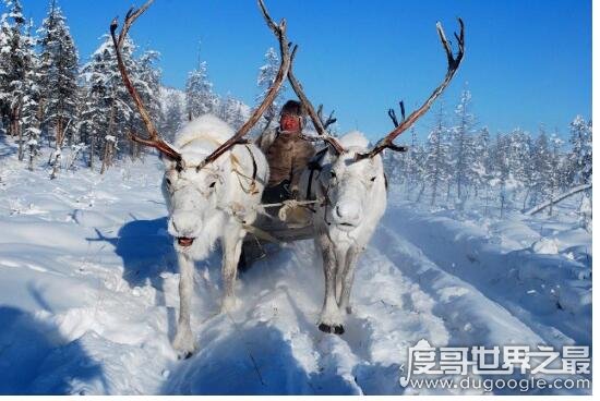 世界上最寒冷的村庄，奥伊米亚康村(历史最低气温零下71.2℃)