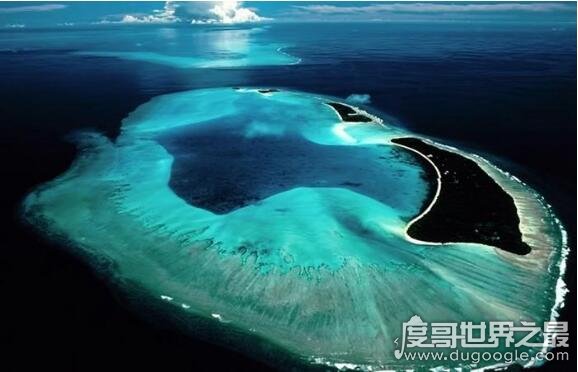 世界上最清澈的海，马尾藻海(透明度可以深达72米)