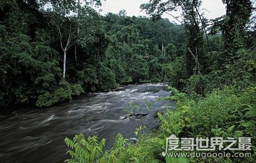 世界上面积最大的盆地，非洲刚果盆地(面积约等于中国的1/3)