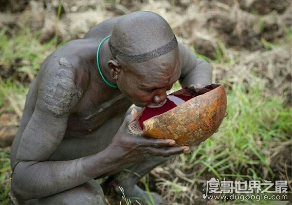 世界上最神奇的民族，非洲雷迪菜菜族(喝血为生的部落)