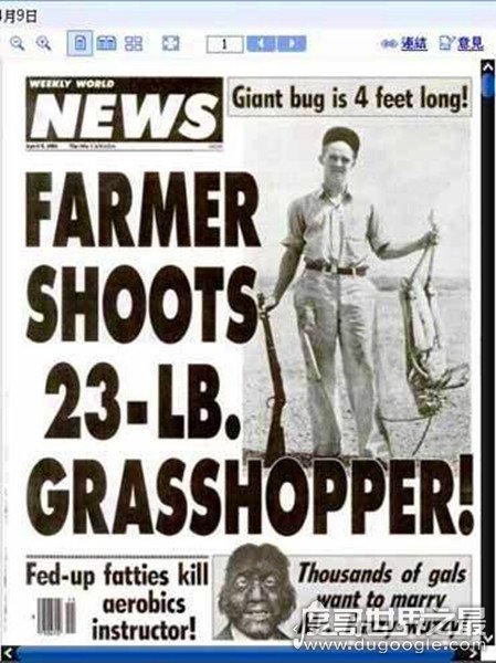 世界上最大的蝗虫，巨型蝗虫重达20斤/体长1.2米(图片)