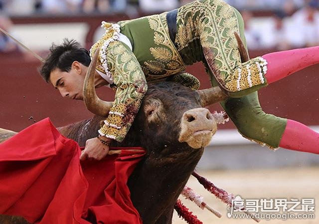 西班牙斗牛士为什么要挥舞红色的布，吸引人的注意(牛是色盲)