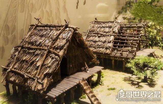 世界上最早的农作物是什么，粟俗称小米(距今约7000年前)