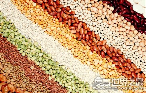 世界上最早的农作物是什么，粟俗称小米(距今约7000年前)