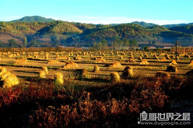 《老酒馆》关东山在哪里，泛指东北地区的山区(以长白山为主)