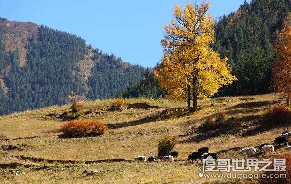 河西走廊位于什么以西，乌鞘岭以西(乌鞘岭是河西走廊的分界线)