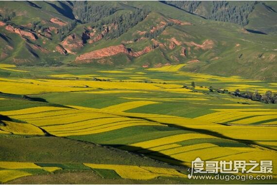 河西走廊位于什么以西，乌鞘岭以西(乌鞘岭是河西走廊的分界线)