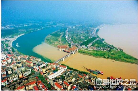 泾渭分明发生在哪里，在西安市高陵区泾河和渭河的交汇处