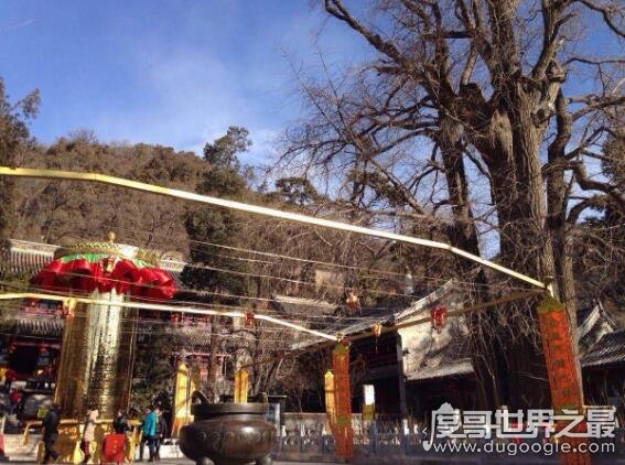 北京郊区最大的寺院是，潭柘寺(总面积达121公顷以上)