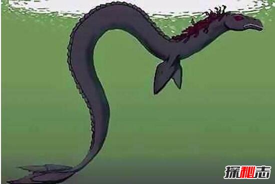 美国神秘阿拉斯加水怪，竟是水底大海蛇卡布罗龙/水怪视频