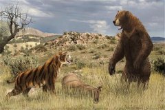 世界上最大的棕熊：短面熊（史前时代的顶级掠食者）