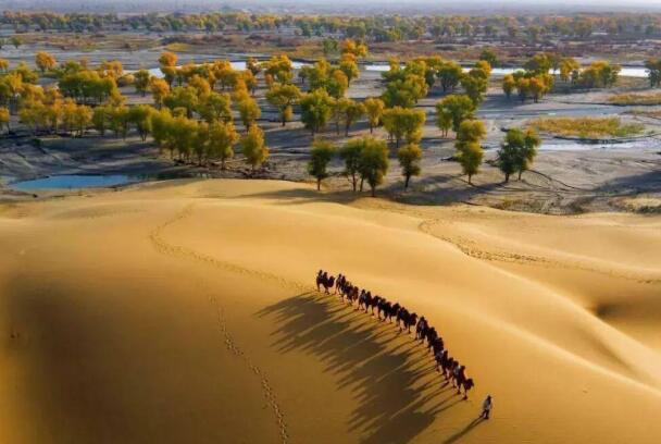 中国最大的沙漠:塔克拉玛干沙漠，33.76万平方公里