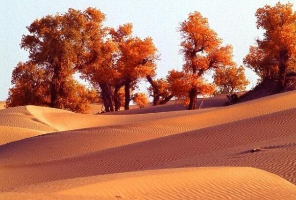 中国最大的沙漠:塔克拉玛干沙漠，33.76万平方公里