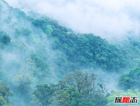 网传神奇的超能力者 能控制水火电(假的)