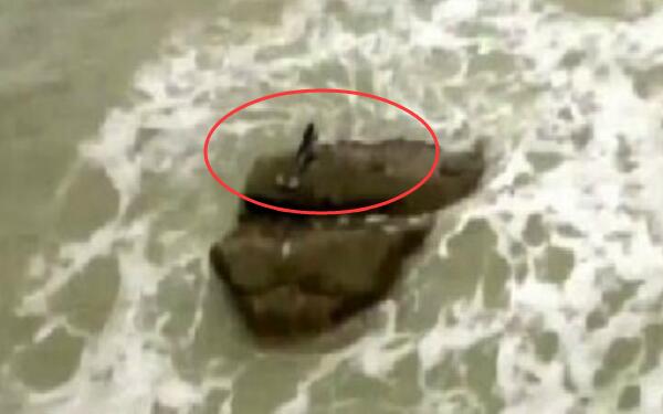以色列美人鱼真实事件：美人鱼躺在沙滩上（网友视频为证）