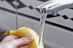 为什么香蕉不能放冰箱保鲜：低温会使香蕉冻坏(热带水果)