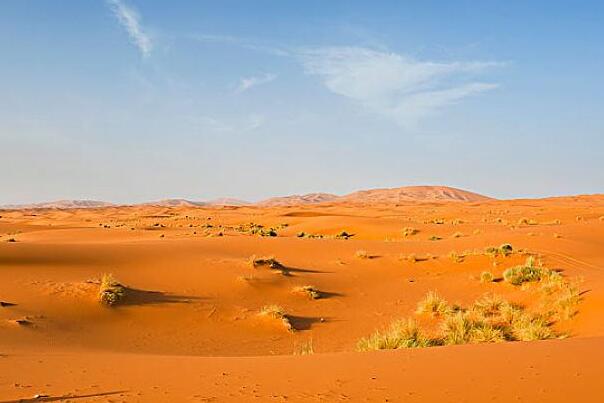 世界上最大的沙漠：撒哈拉沙漠，约906万平方千米