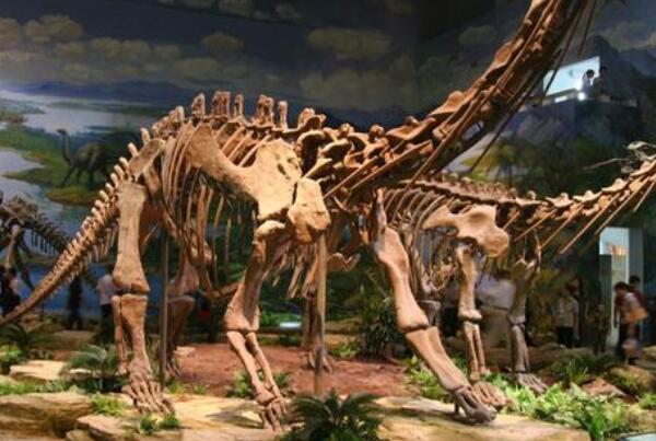 重庆发现恐龙化石群 化石群有六大特点(世界级化石群)