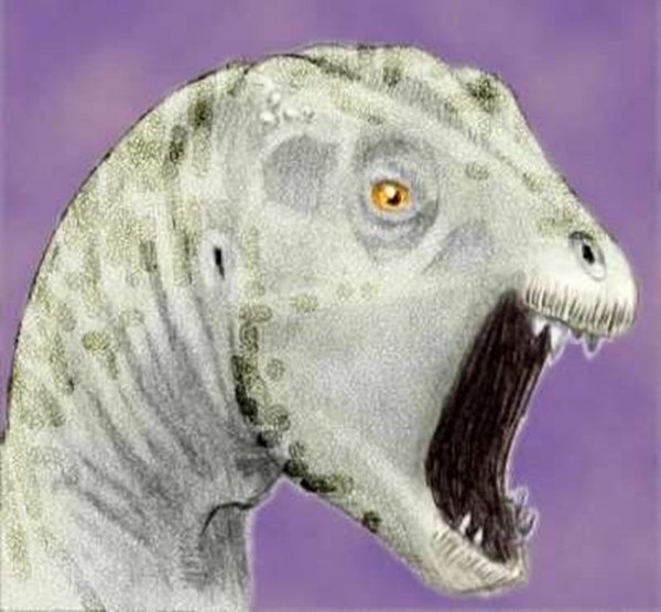 雅尔龙：欧洲小型食草恐龙（长1米/距今1.21亿年前）