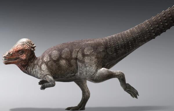 雅尔龙：欧洲小型食草恐龙（长1米/距今1.21亿年前）