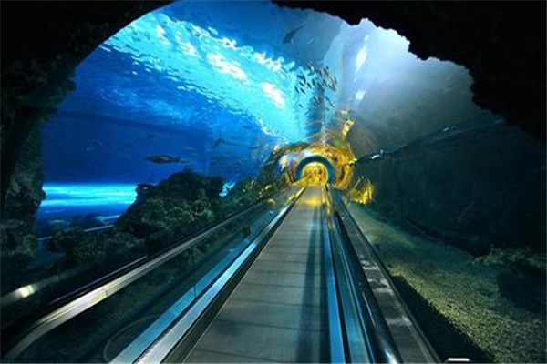 世界上最长的海底沉管隧道：港珠澳大桥海底隧道（建造困难）