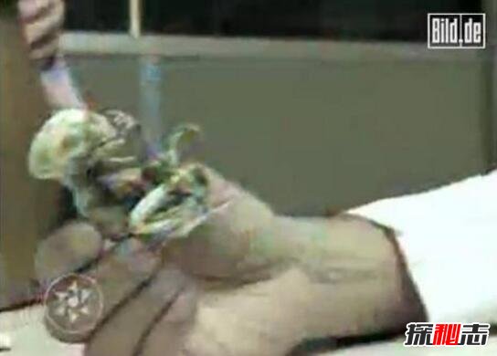 2007年墨西哥外星人宝宝事件，外星婴儿实则被改造的猴子