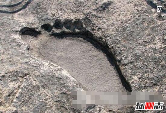 美国化石惊现两亿年前的脚印之谜，疑似两亿年前人类脚印