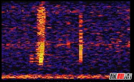 揭秘太平洋诡异又神秘声音Bloop，巨大的冰山断裂造成