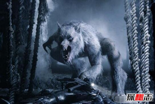 美国神秘生物布雷路怪兽，实则嗜血吃人肉的史前巨狼