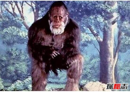 半人半兽的魔鬼脚印，科学家推测古代巨猿并没真正灭绝