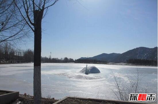 青海湖水怪之谜，体长超14米形似恐龙(视频)