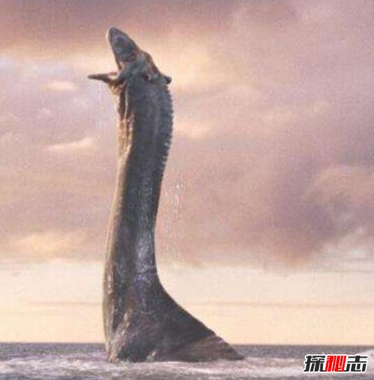 欧肯纳根水怪真的存在吗?体长150米的巨型水龙