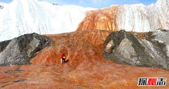 南极洲血瀑布是怎样形成的，鲜血不断从冰川裂谷喷涌而出