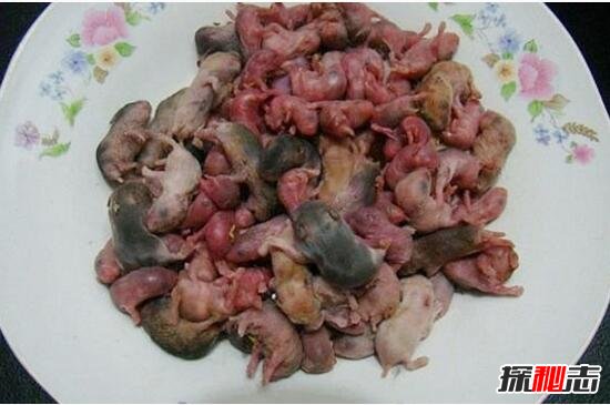 中国十大禁菜三吱儿老鼠，舌尖上的重口味(生吃老鼠/变态)