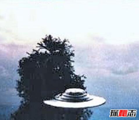 森林里频现神秘白光多年始终无解 有人怀疑是UFO的光源