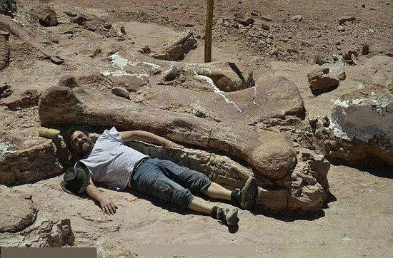 世界上最大的恐龙出现在阿根廷