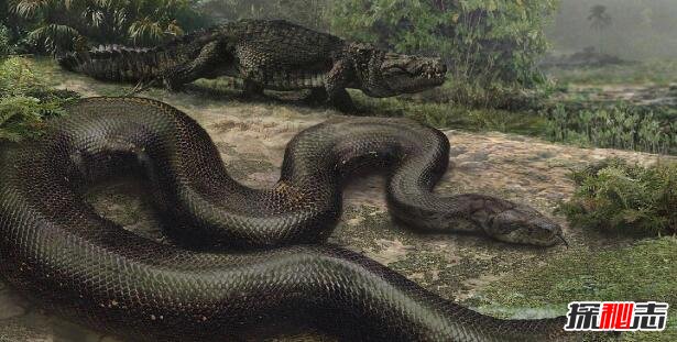 史前巨兽塞雷洪泰坦蟒，人类已知最大的蛇(长15米)