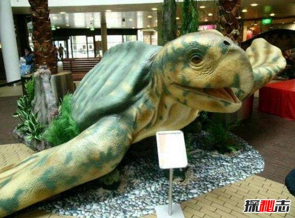 地球史上最大的海龟，古巨龟(体长4米重2.2吨)