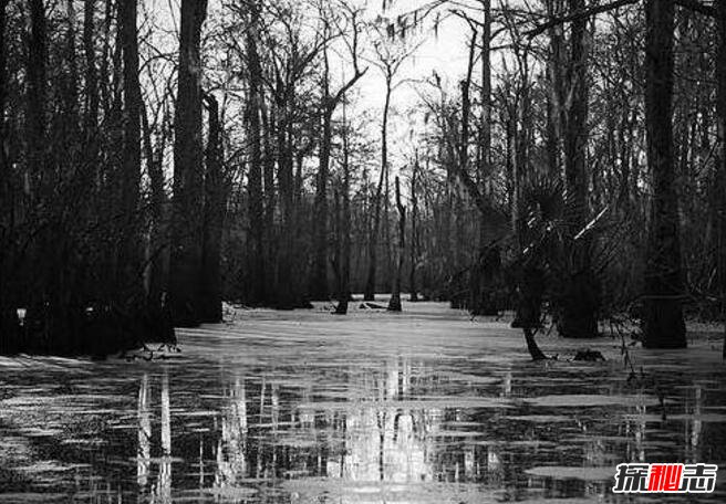 美国曼查克沼泽，被巫毒教女王诅咒的幽灵沼泽