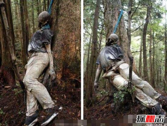 日本自杀森林充满咒怨，已搜出500具尸体(遍地都是尸骨)