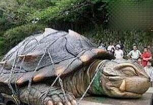 1965黄河巨龟哪去了，关于黄河国家不敢说的怪事