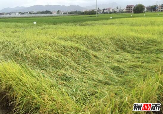 中国十大最邪门的地方,每个你都不敢涉足