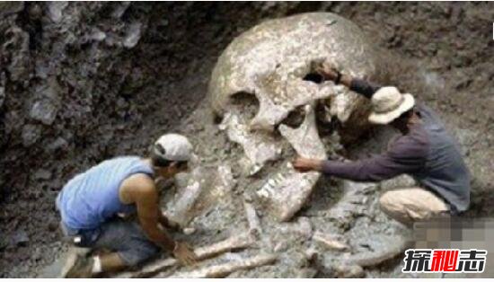 原始时代的巨人之谜，考古发现4米长人骨(巨人真实存在过)