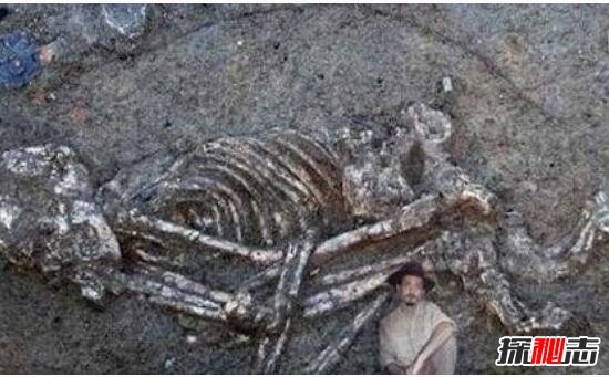 原始时代的巨人之谜，考古发现4米长人骨(巨人真实存在过)